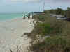 TurtleBeachDunes.jpg (63772 bytes)