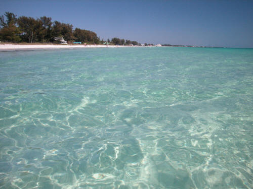 anna maria's clear water.jpg