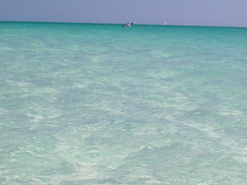 clear green waters of Anna Maria Island.jpg