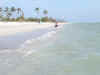 blind_pass_skim7321_web.jpg (53309 bytes)