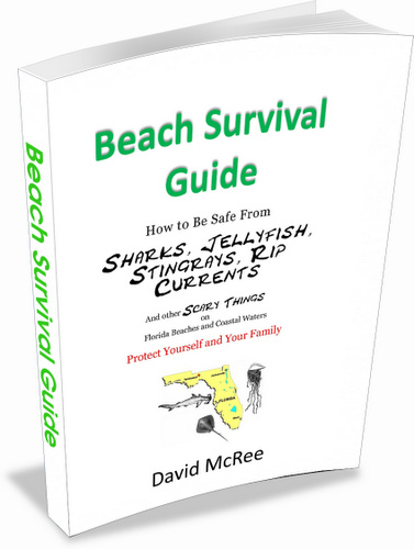 Florida Beach Survival Guide e-book cover