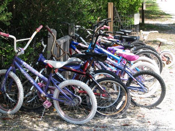 Bikes for rent on Cayo Costa State Park.