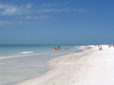Anna Maria Island beach near magnolia and palm.jpg