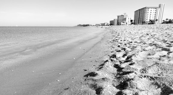 Venice Beach, Florida