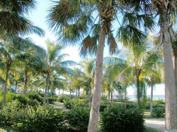 bowditch park picnic area.jpg