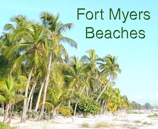 fort myers beach coconut palms.jpg