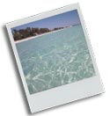 Florida beach icon.jpg