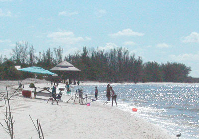 families spending the day  on Lover's Key