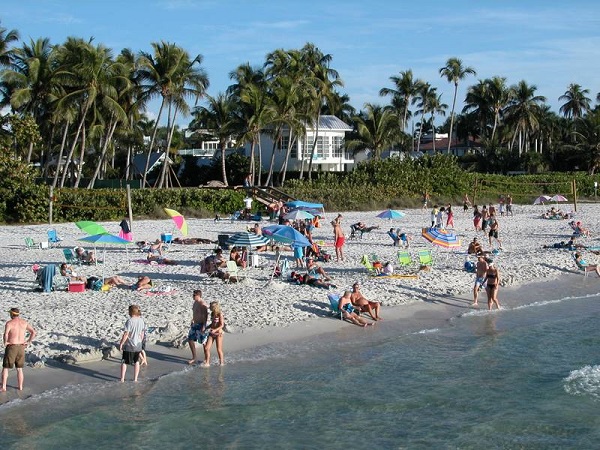 Naples beach with beachgoers and coconut palms.
