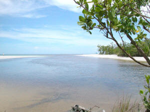 naples clam pass photo.jpg