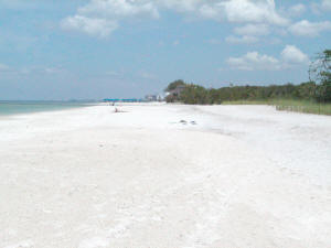naples clam pass beach photo.jpg