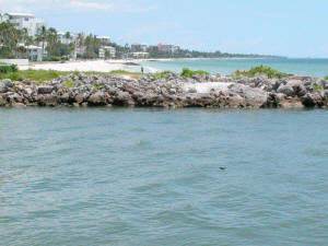 naples doctor's pass photo.jpg