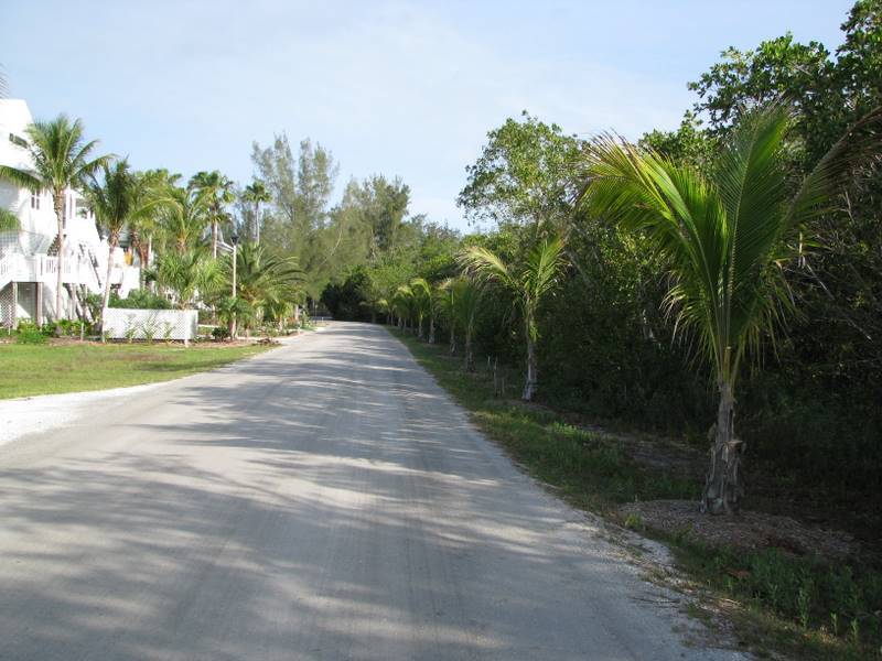 Shell road in the Palm Island Resort.
