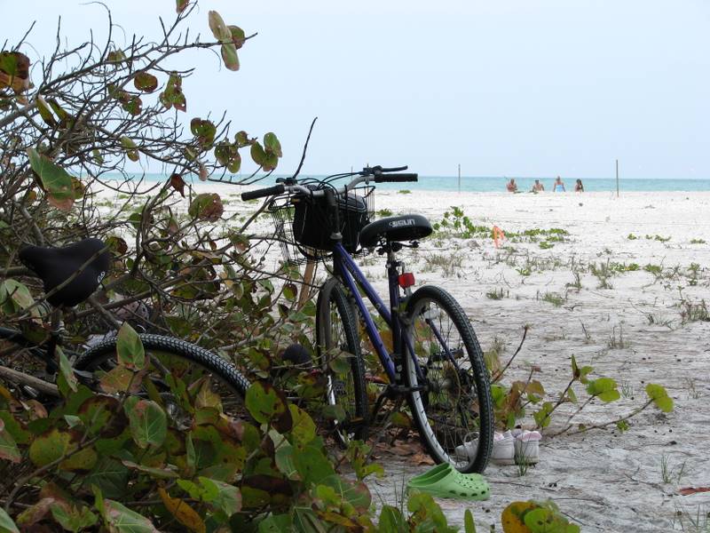 Bicycle parked on Palm Island beach.