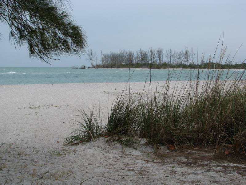 Stump Pass beach on Palm Island, Florida.
