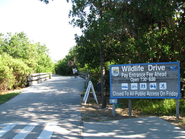 Ding Darling Refuge Wildlife Drive