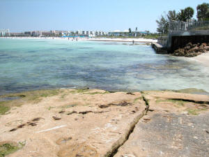 crescent beach rocks.jpg