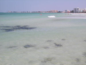 crescent beach clear water.jpg
