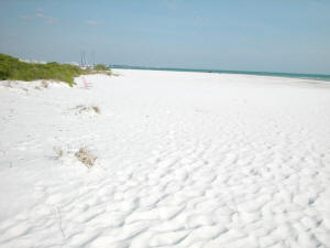 north siesta public beach white sand.jpg