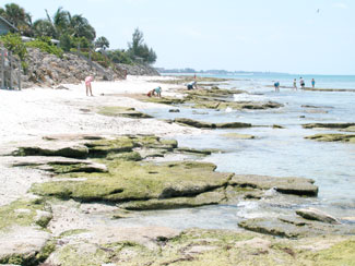 point of rocks siesta key beach.jpg