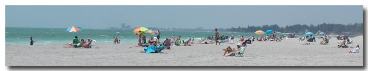 turtle beach, siesta key, Florida