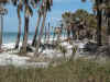 typical_upper_beach_scene63.jpg (49554 bytes)